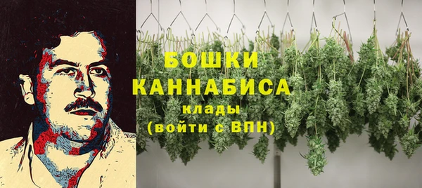 ПСИЛОЦИБИНОВЫЕ ГРИБЫ Волоколамск