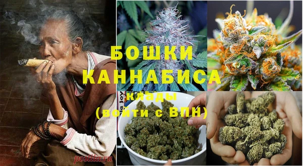 стаф Сосновый Бор